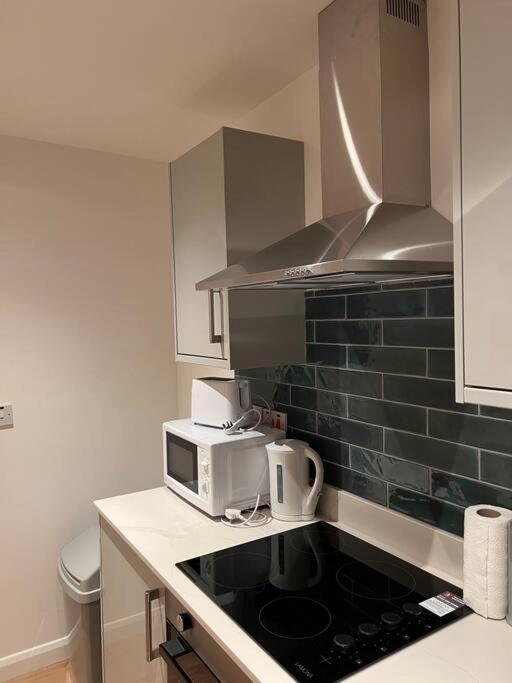 009- Studio Apartment In Ealing F5 エクステリア 写真
